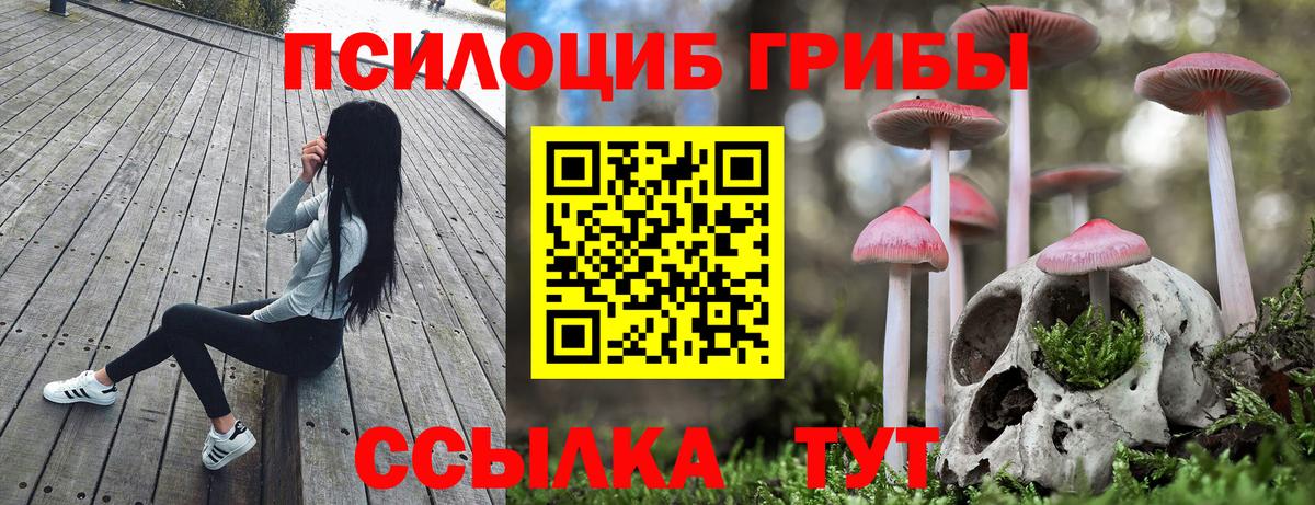 Галлюциногенные грибы GOLDEN TEACHER  Вход с VPN  Галлюциногенные грибы Psilocybine cubensis  купить наркоту  Нижнекамск 