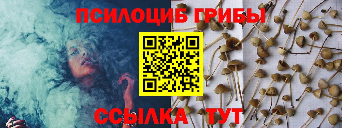 Псилоцибиновые грибы прущие грибы Нижнекамск
